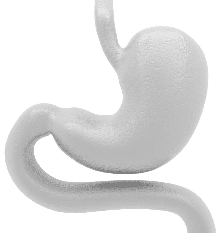 surgical gastro enterologist